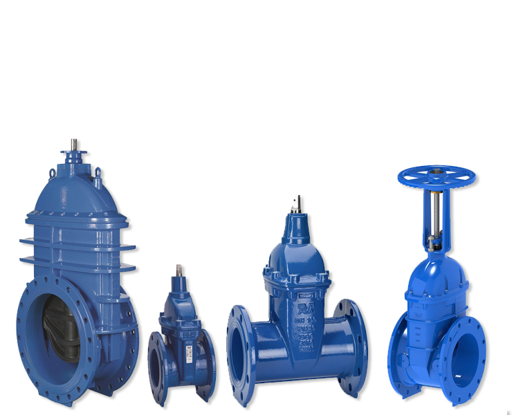 Gate Valves for water